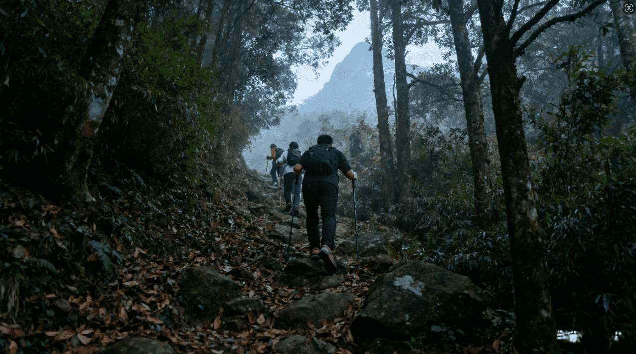 推荐几款靠谱的ins免费加速器，体验更流畅